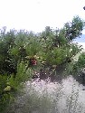 d0090800_048450.jpg