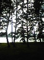 d0090800_051012.jpg