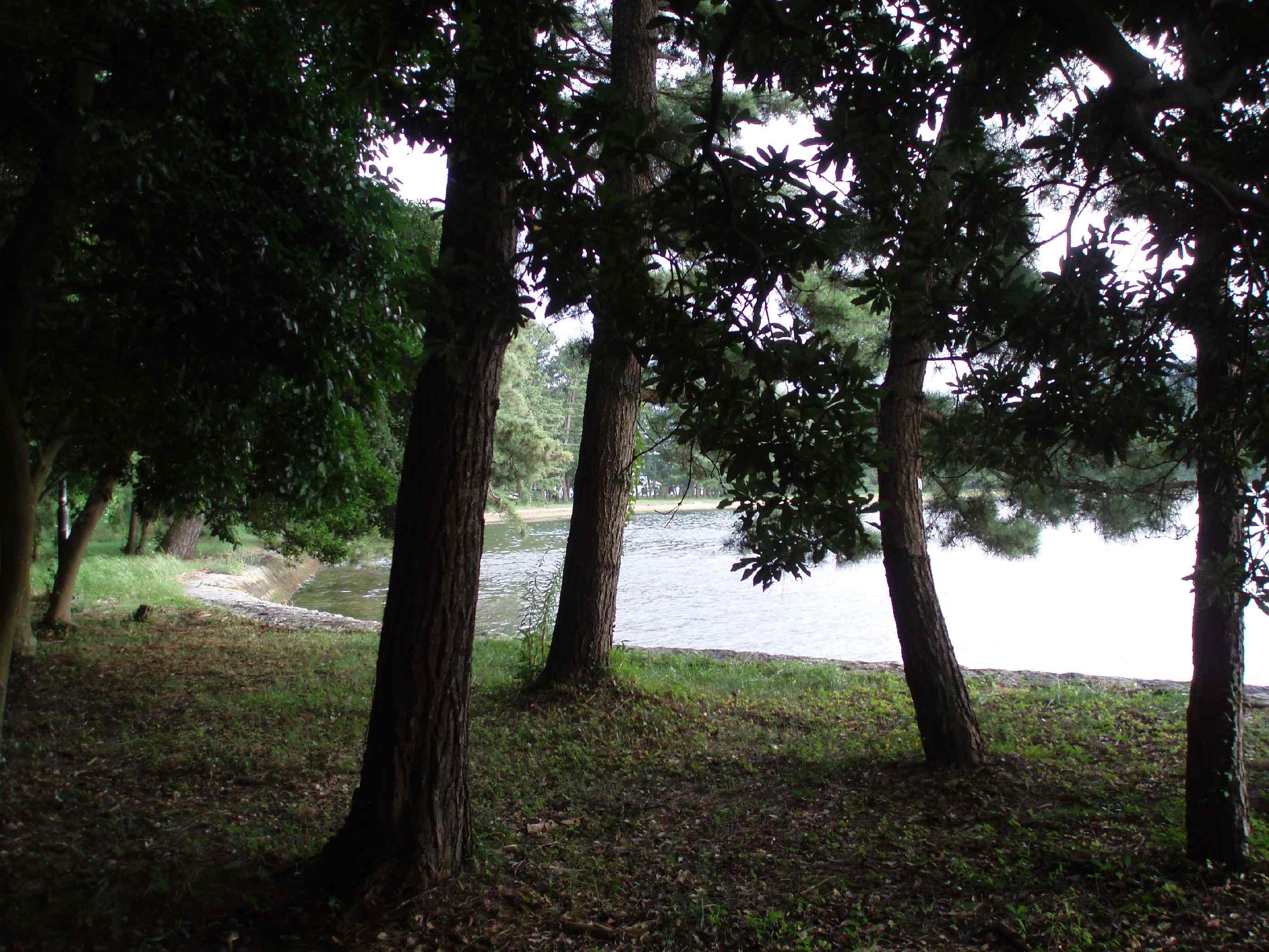d0090800_1114832.jpg
