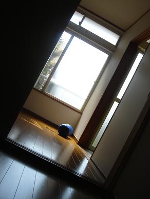 b0001402_293672.jpg