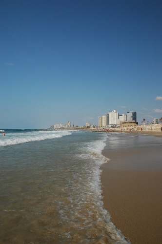 e0083204_23581528.jpg