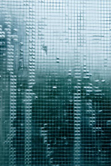 rain, rain, rain_f0155808_08654.jpg