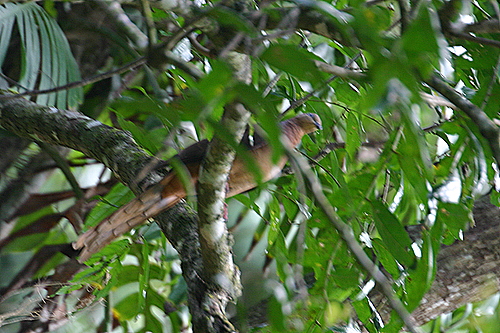 b0026110_2014128.jpg