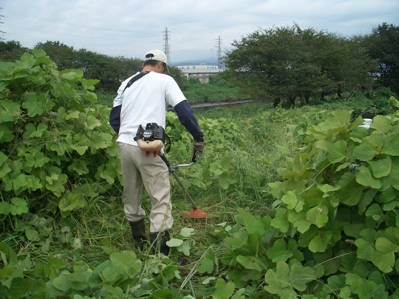 「そうだ!沼川プロジェクト」 現地事前調査の川下り_f0141310_23191414.jpg