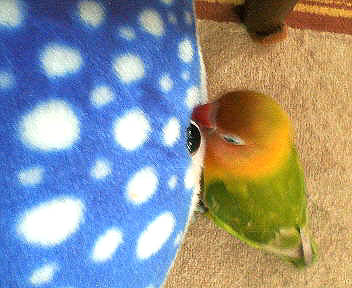 c0009711_0425568.jpg