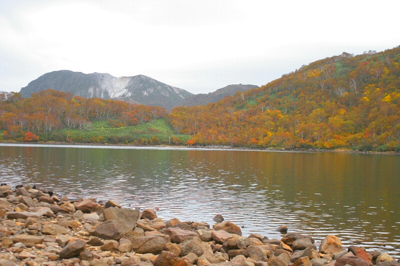 紅葉真っ盛り!_d0070814_21242073.jpg