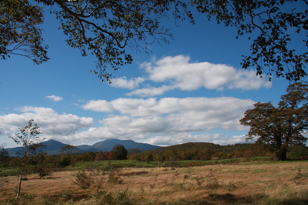 早池峰山・薬師岳_d0109319_6404025.jpg