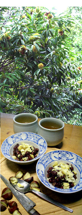 d0043225_21281578.jpg