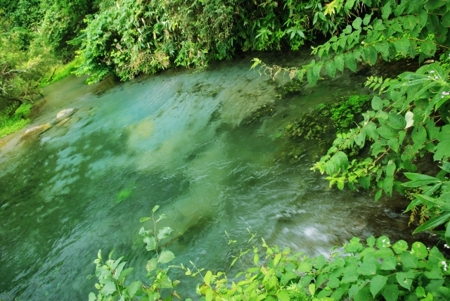 e0118825_1815752.jpg