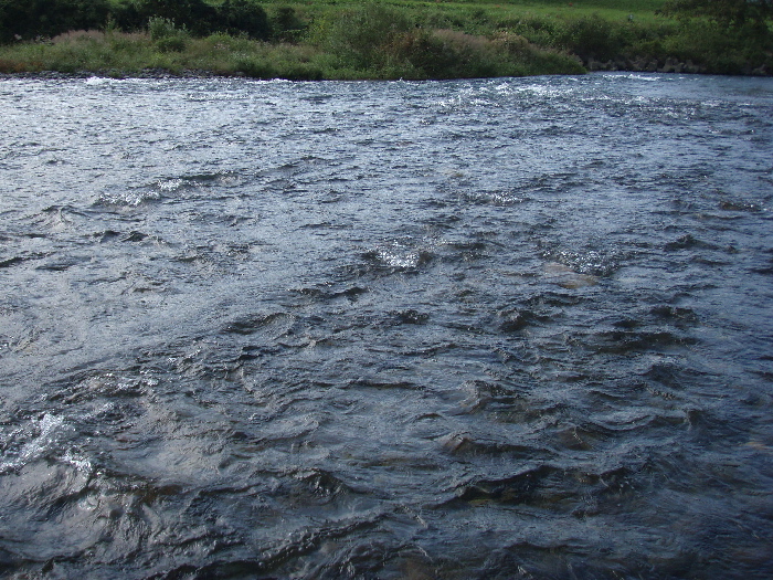 f0103126_2224156.jpg