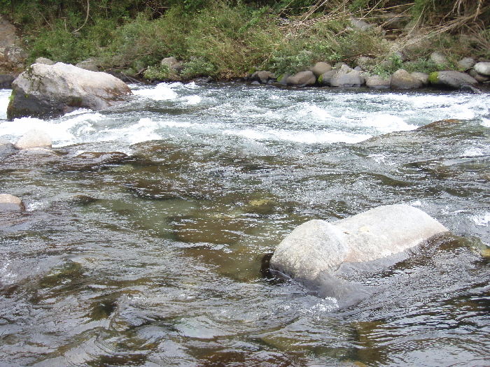 f0103126_22255465.jpg