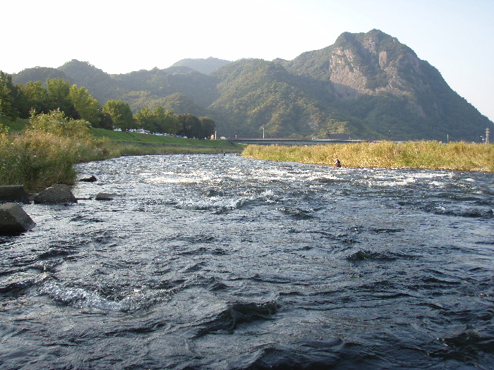 f0103126_22304838.jpg