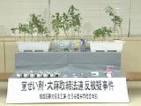 c0144828_8181873.jpg