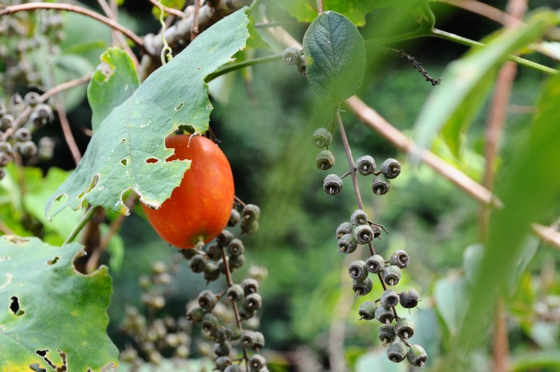 c0142535_2155287.jpg