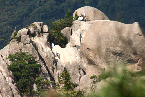 d0055236_7443175.jpg