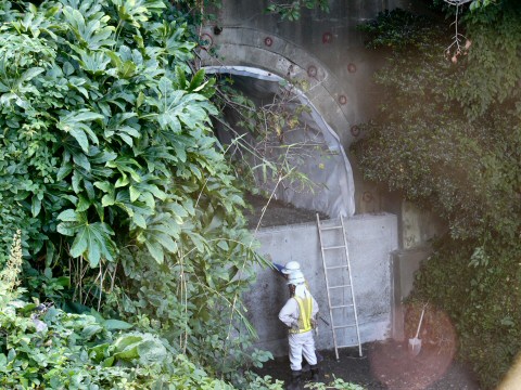 f0068341_21185443.jpg