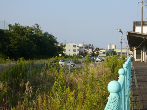 20081004現在　南高野～鮎川_f0068341_2145442.jpg