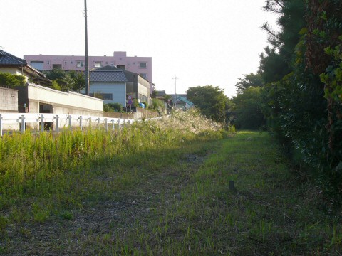 f0068341_215142.jpg