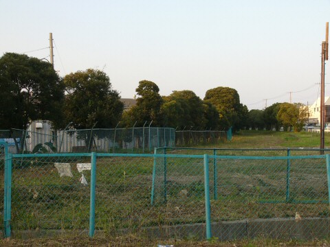 f0068341_2220532.jpg