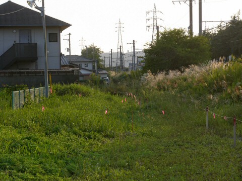 f0068341_22323796.jpg