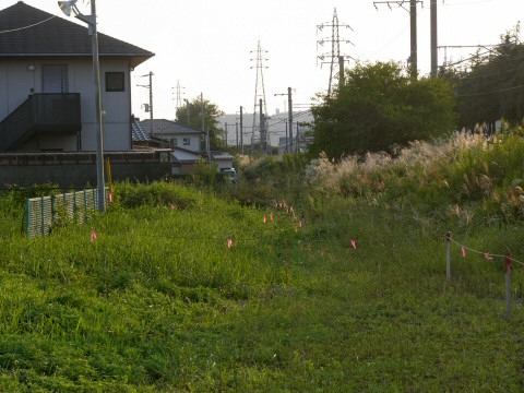 20081004現在　南高野～鮎川_f0068341_22323796.jpg