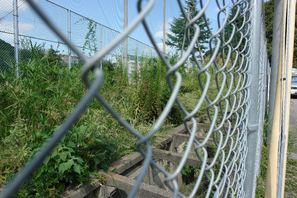 明舞団地に行ってきた!(7) 朝霧丘から見る松が丘_b0088444_23501190.jpg