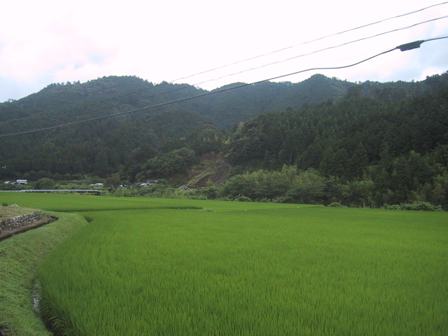 ワンデムタンデム２００８夏：８／８金／ｄａｙ１２／四万十川ー５−２_f0046250_23215559.jpg