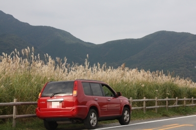 c0118352_123236.jpg
