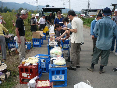 稲刈りに行ってきました。(茨城 木内酒造)_f0193752_245417.jpg