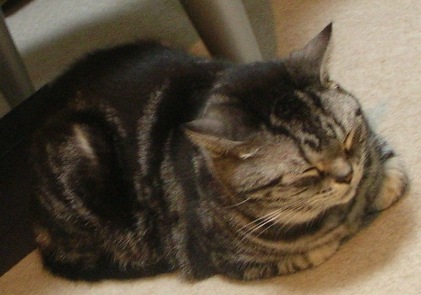 c0045655_01117.jpg