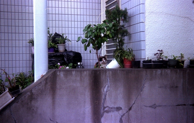 f0188659_8293995.jpg