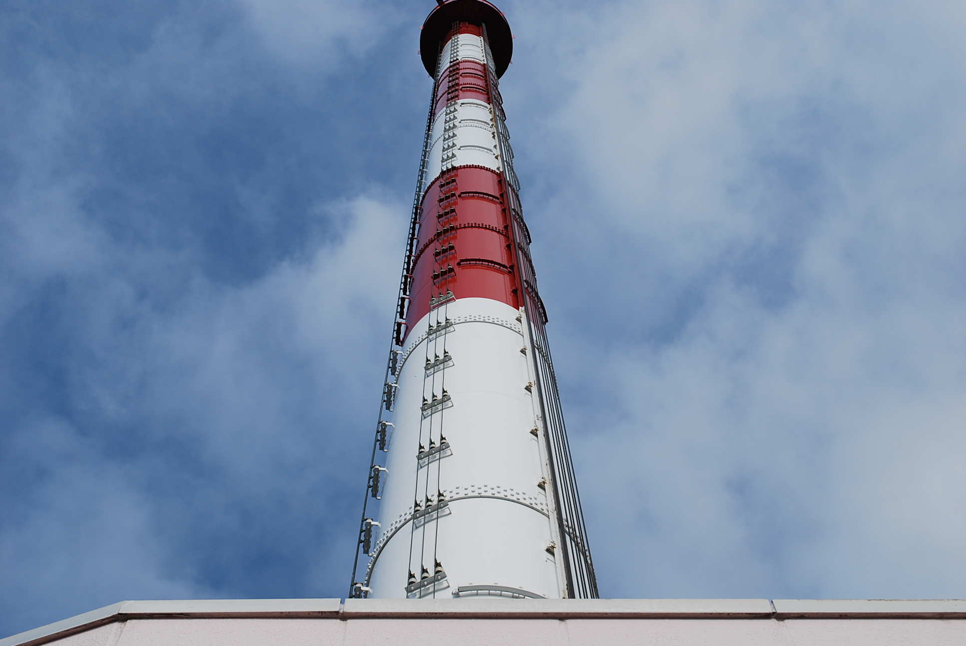 d0039766_1015.jpg