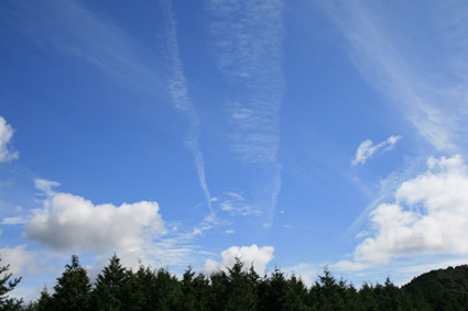 c0117570_15403340.jpg