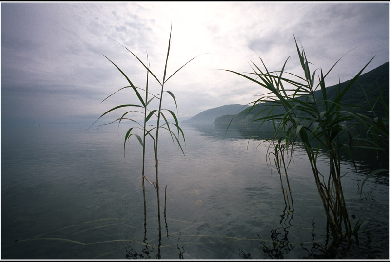 c0168172_1644343.jpg