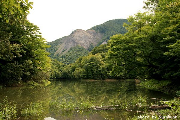 みちのくひとり旅「白神山地編」その１１_d0030373_0421247.jpg