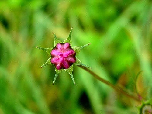 b0000977_22421280.jpg