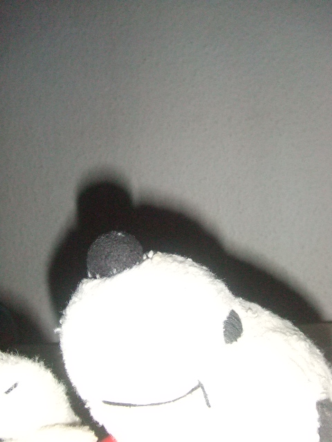 d0084677_0175462.jpg