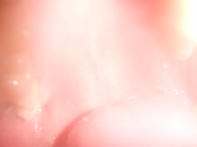 d0084677_01842100.jpg