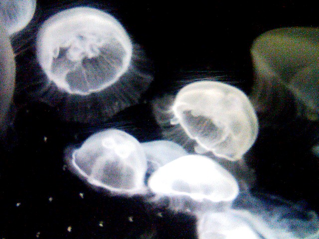 f0016783_131416.jpg