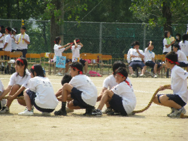 d0092388_16162549.jpg