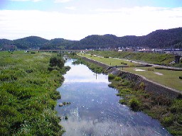 曲線の行方_a0107193_12505285.jpg