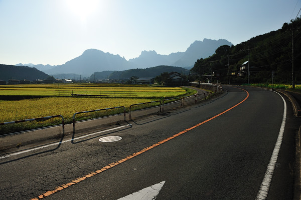 コスモス街道（富岡街道）のコスモスは少し寂しかった。_b0082895_13182842.jpg