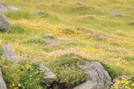 d0133295_2353313.jpg