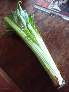 秋のオーブン料理各種_f0106597_23805.jpg