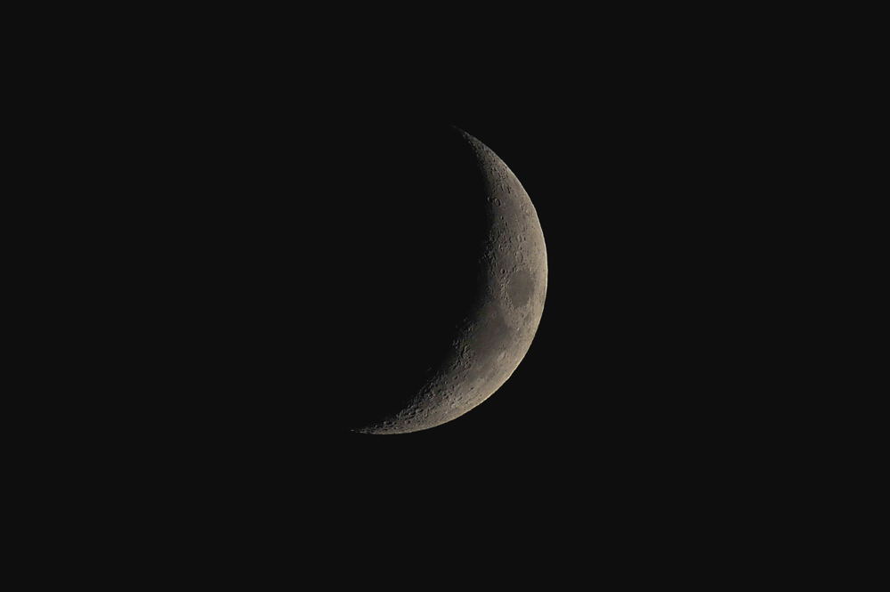 久しぶりのホバリング/月・木星・金星_b0024798_5204117.jpg