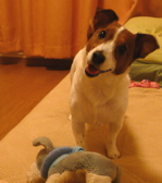 f0146198_2056492.jpg