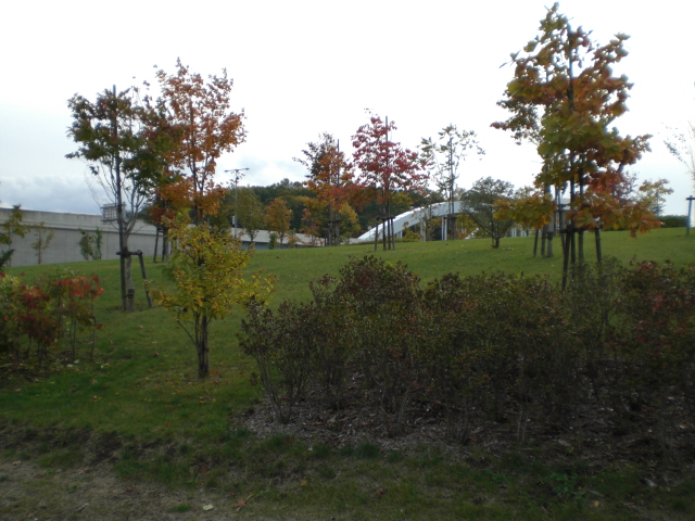 e0126302_2016362.jpg