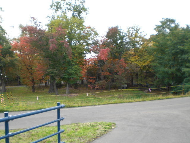 e0126302_20165215.jpg