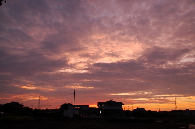 今日の朝、東の空_f0168613_756528.jpg