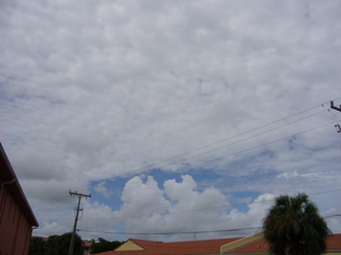 e0049015_582267.jpg
